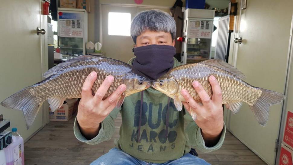 고삼지 상류권 본격산란중 사짜붕어 조황 (유료터정보 - 유료터점주조황)