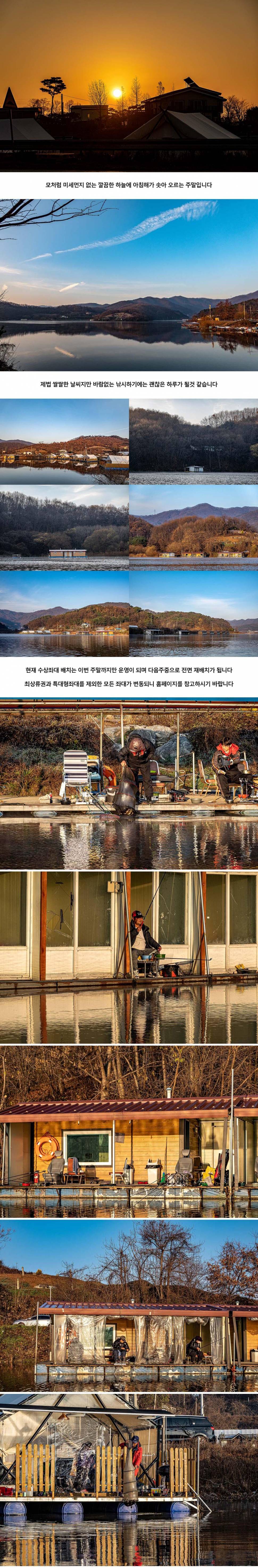 안성 두메낚시터 11월 21일 조황정보 (유료터정보 - 유료터점주조황)