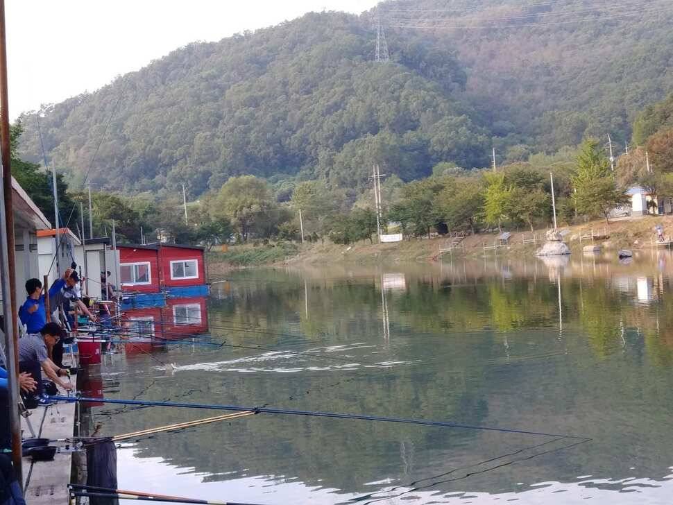 힐링 수곡낚시터 주말 토요일 붕어 조황 및 붕어방류 (유료터정보 - 유료터점주조황)