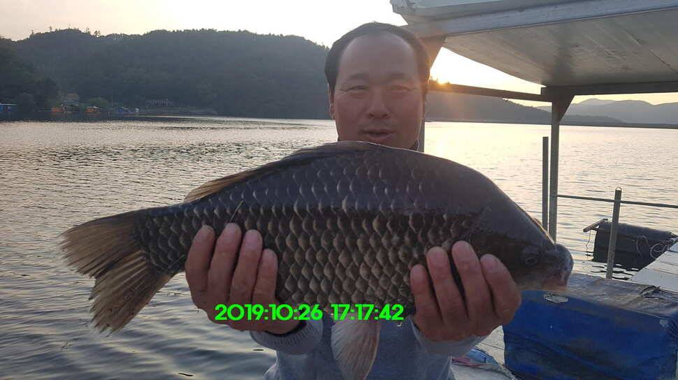 신원낚시터 10월29일 또다시 토종 49센티가 등장 했습니다 (유료터정보 - 유료터점주조황)