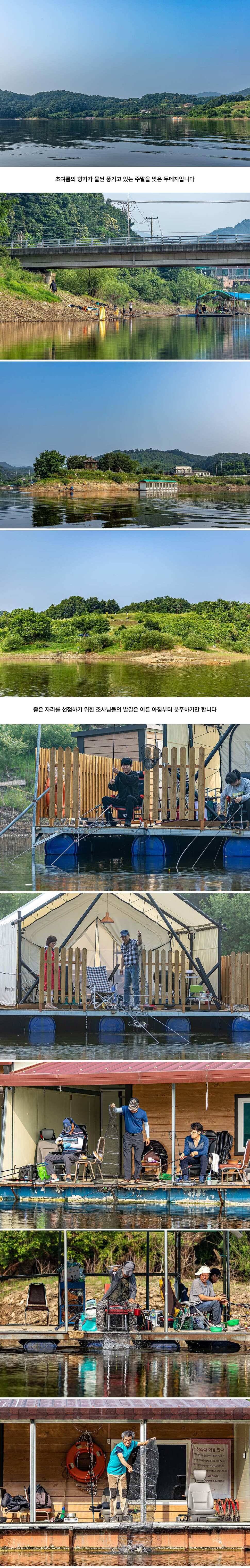 안성 두메낚시터 6월 20일 조황정보 (유료터정보 - 유료터점주조황)