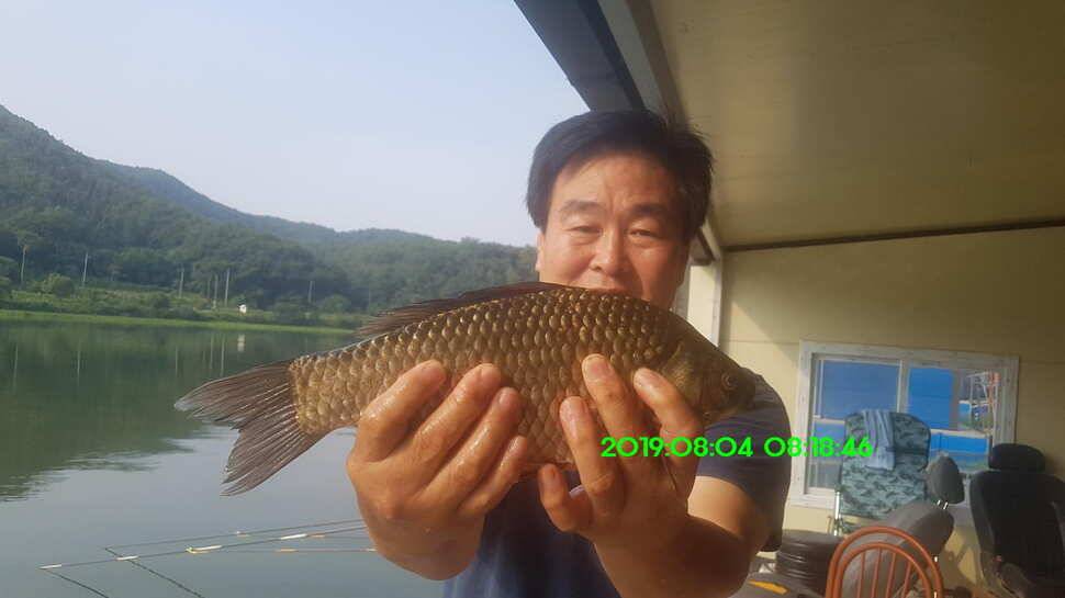 신원낚시터 8월20일 조황 소식입니다 (유료터정보 - 유료터점주조황)