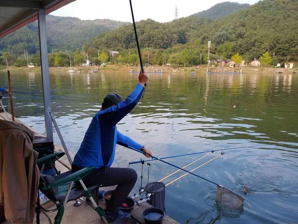 힐링 수곡낚시터 주말 토요일 붕어 조황 및 붕어방류 (유료터정보 - 유료터점주조황)