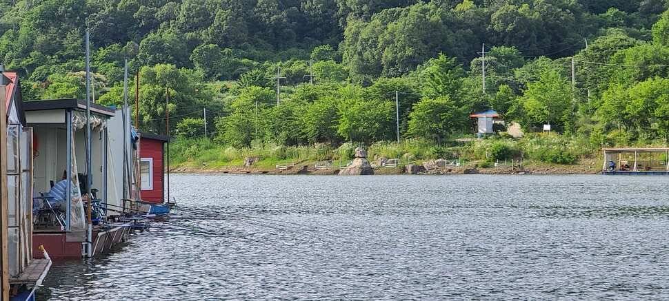 양평낚시터 힐링 수곡낚시터 어제 월요일 조황도 편차는 있지만 꾸준합니다 (유료터정보 - 유료터점주조황)