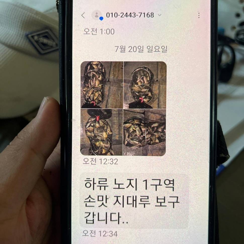 주말 붕어 방류 와 조황 입니다 (유료터정보 - 유료터점주조황)