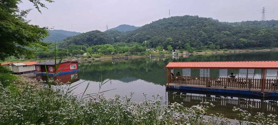 여름 피서 수곡낚시터 6월네째주 화요일 조황 안내 (유료터정보 - 유료터점주조황)