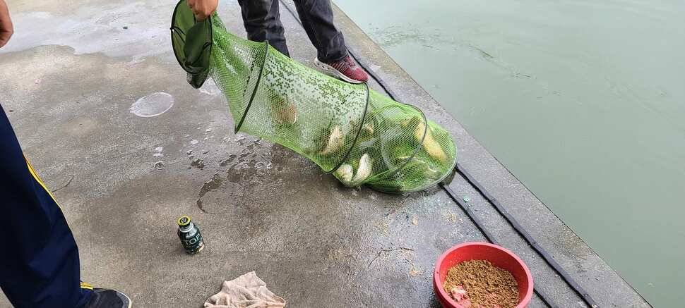 공주 고성낚시터 입니다 (유료터정보 - 유료터점주조황)