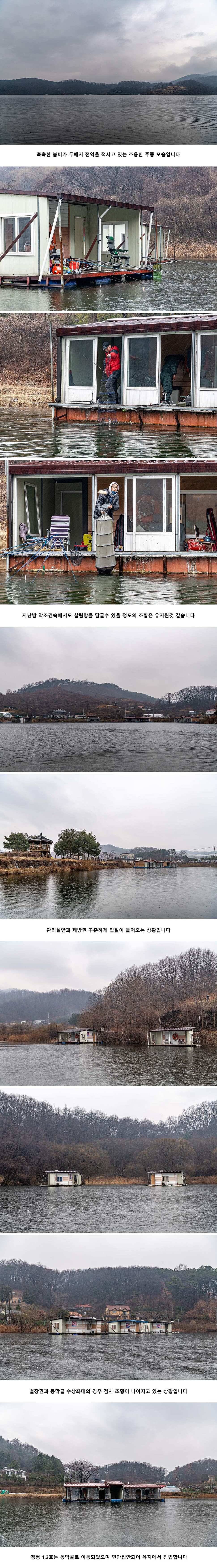 안성 두메낚시터 3월 10일 조황정보 (유료터정보 - 유료터점주조황)