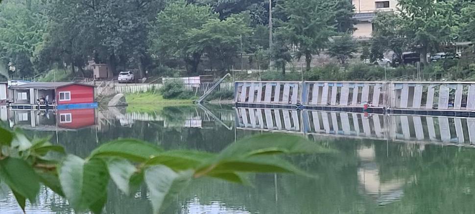 여름피서 붕어낚시 양평 수곡낚시터 수목 조황 및 붕어방류 (유료터정보 - 유료터점주조황)