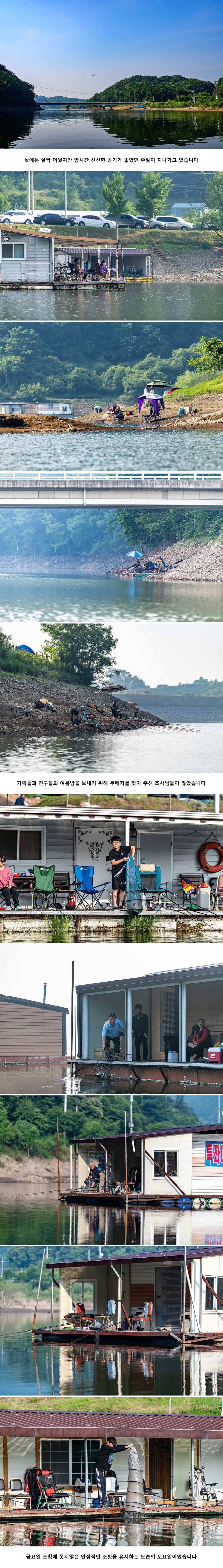 안성 두메낚시터 6월 9일 조황정보 (유료터정보 - 유료터점주조황)