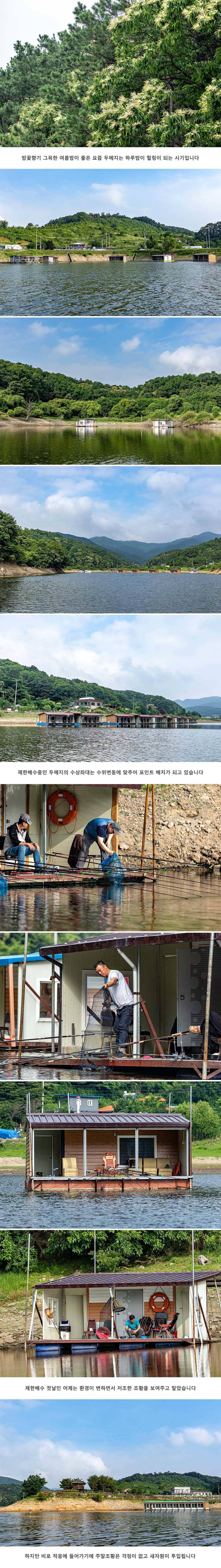 안성 두메낚시터 6월 21일 조황정보 (유료터정보 - 유료터점주조황)