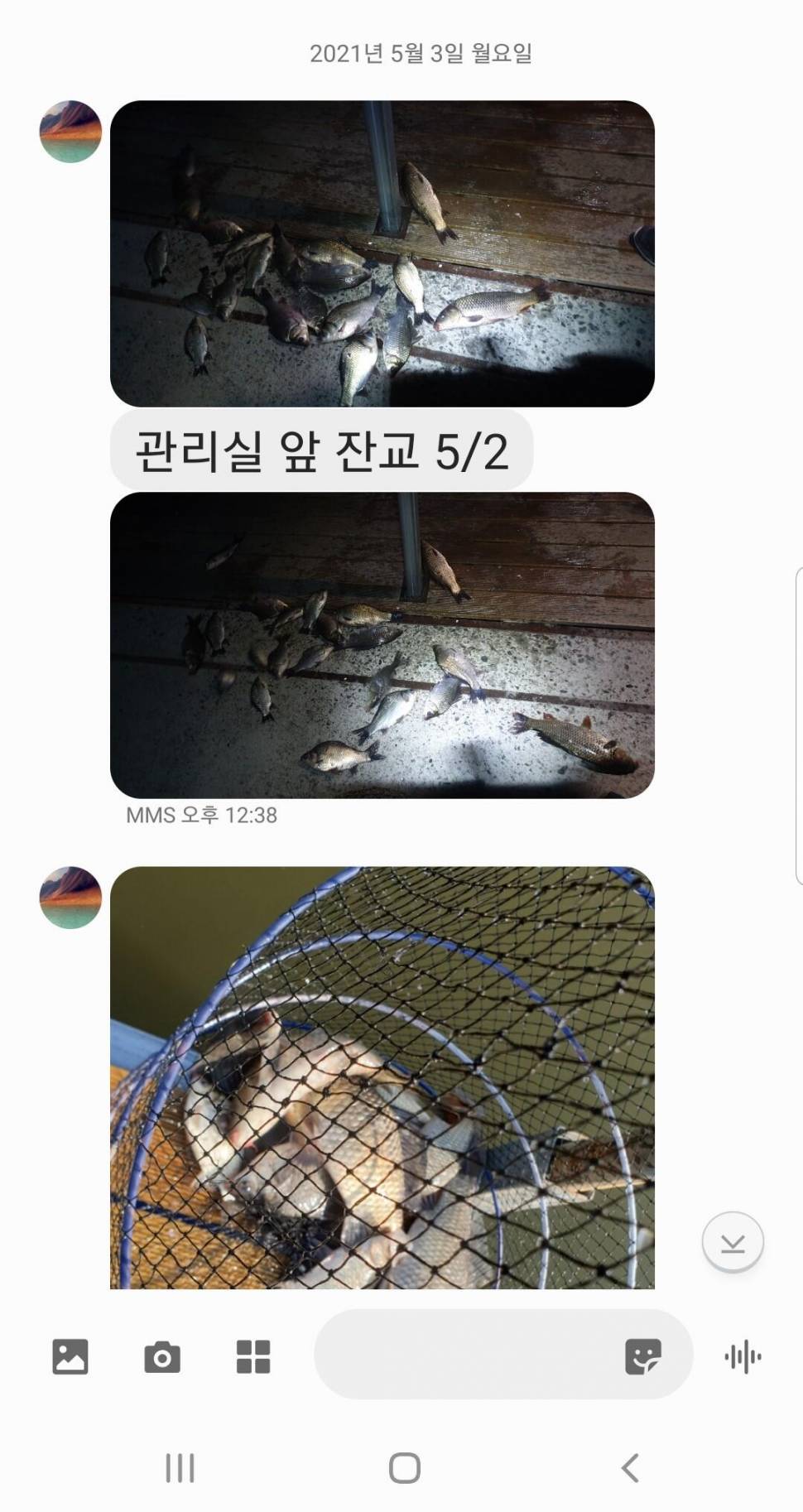 2021년 5월 둘째주 조황정보 용인 용담낚시터사암지 (유료터정보 - 유료터점주조황)