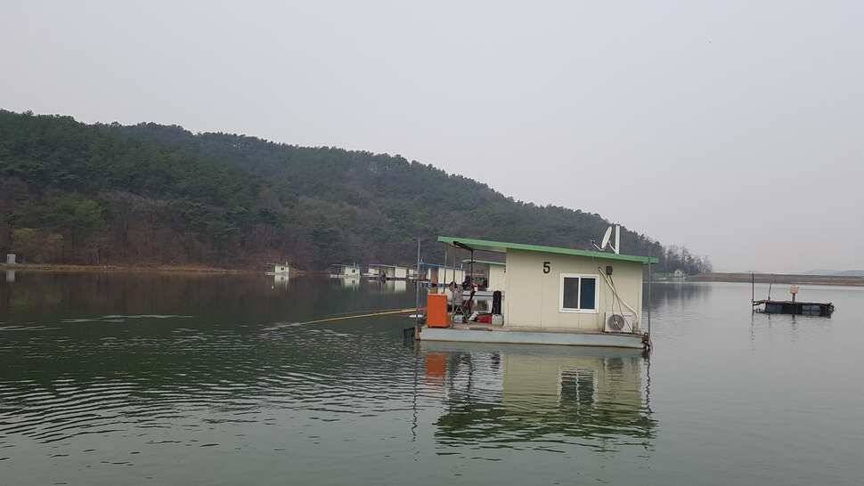 꽝업는 어우실지 토종터 (유료터정보 - 유료터점주조황)