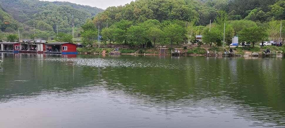 양평 수곡낚시터 5월 첫주말 조황 붕어방류 안내 (유료터정보 - 유료터점주조황)