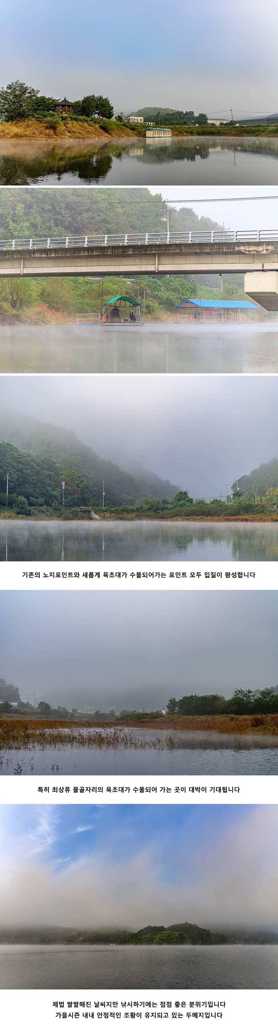 안성 두메낚시터 10월 8일 조황정보 (유료터정보 - 유료터점주조황)