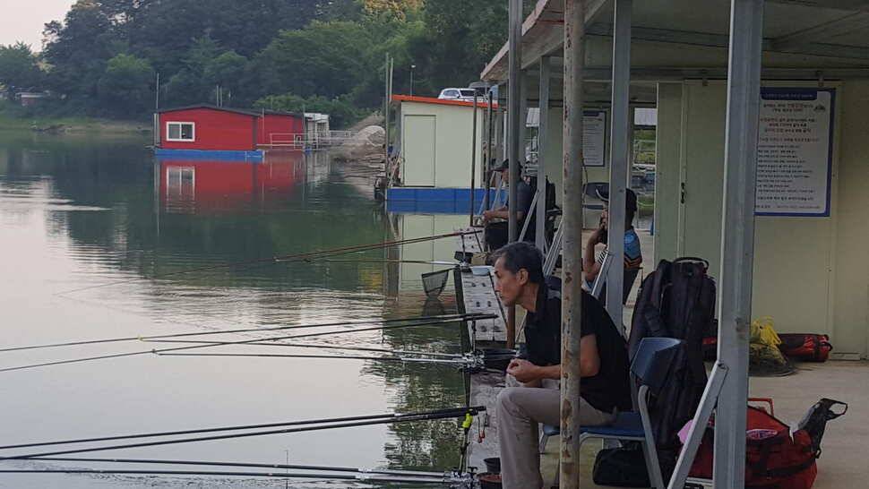 양평 힐링 수곡낚시터 8월 29일 조황 및 붕어방류 안내 (유료터정보 - 유료터점주조황)
