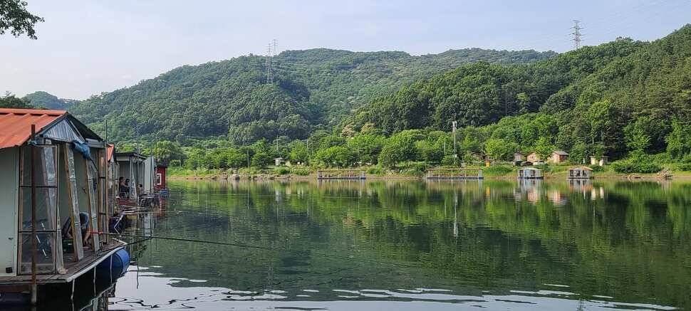 수곡낚시터 6월16일 주중 조황 및 금일 붕어 방류 완료하였습니다 (유료터정보 - 유료터점주조황)
