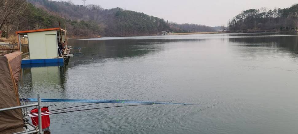 양평 힐링 수곡낚시터 둘째주 주말 조황 및 붕어 방류 (유료터정보 - 유료터점주조황)