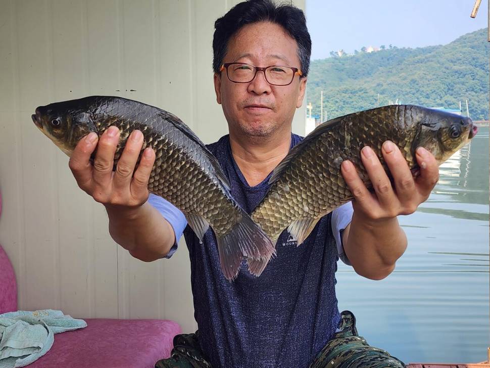 송전지 창신좌대 조황 (유료터정보 - 유료터점주조황)