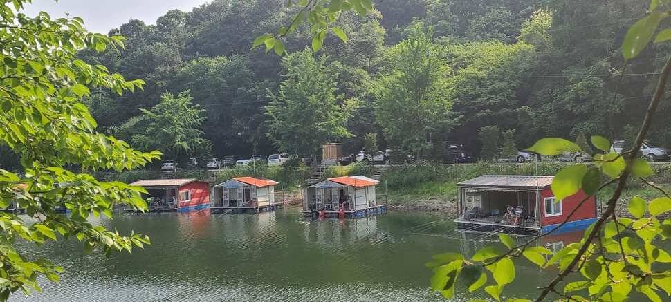 수곡낚시터 6월 세째주 금토 주말조황 및 붕어 방류 (유료터정보 - 유료터점주조황)