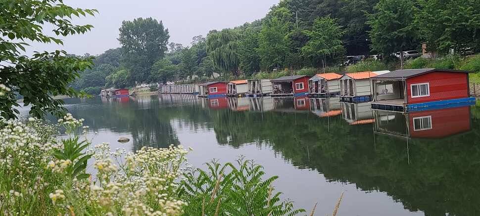 여름 피서 수곡낚시터 6월네째주 화요일 조황 안내 (유료터정보 - 유료터점주조황)