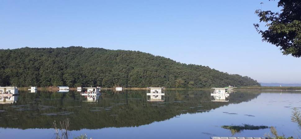 기온차가 심해요 (유료터정보 - 유료터점주조황)