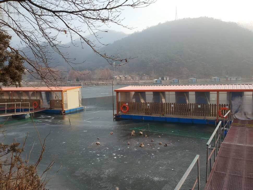 양평 수곡낚시터 새해 첫주 주중 조황 및 붕어 방류 안내 (유료터정보 - 유료터점주조황)