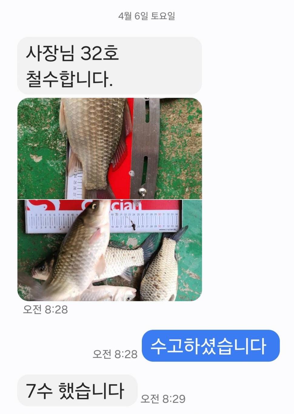 2024년 04월 둘째주 조황정보 용담낚시터사암지 이번주 4짜 1마리 (유료터정보 - 유료터점주조황)