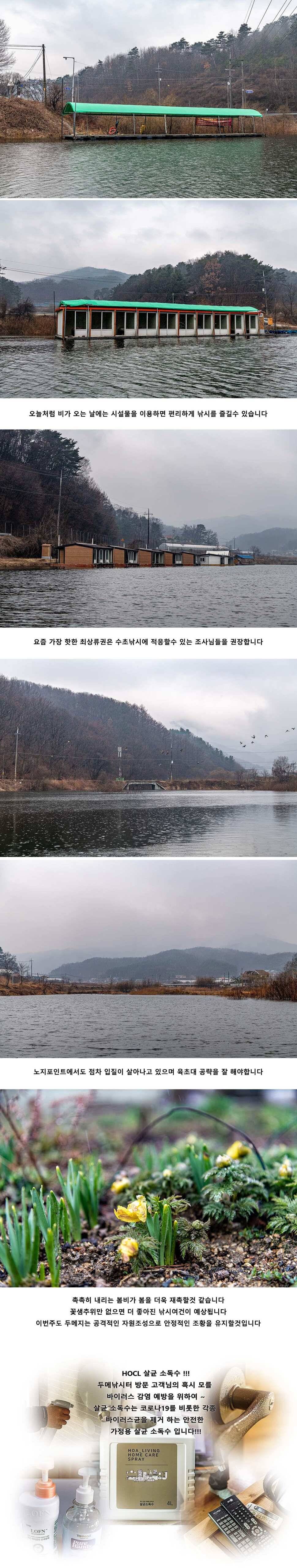 안성 두메낚시터 3월 10일 조황정보 (유료터정보 - 유료터점주조황)