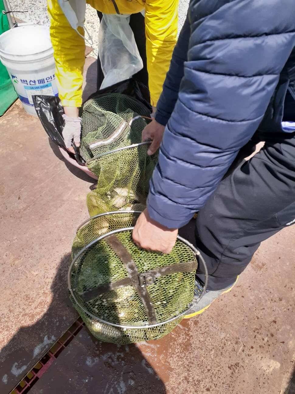 경주 동산낚시터붕어 전용잡이터지난주 조황 (유료터정보 - 유료터점주조황)