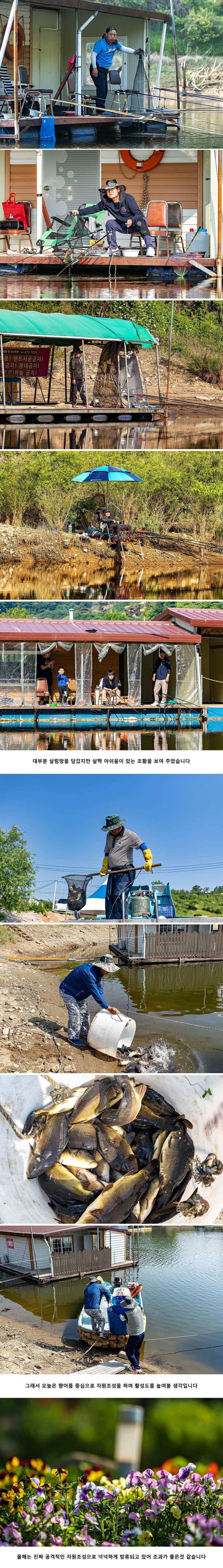 안성 두메낚시터 5월 24일 조황정보 (유료터정보 - 유료터점주조황)
