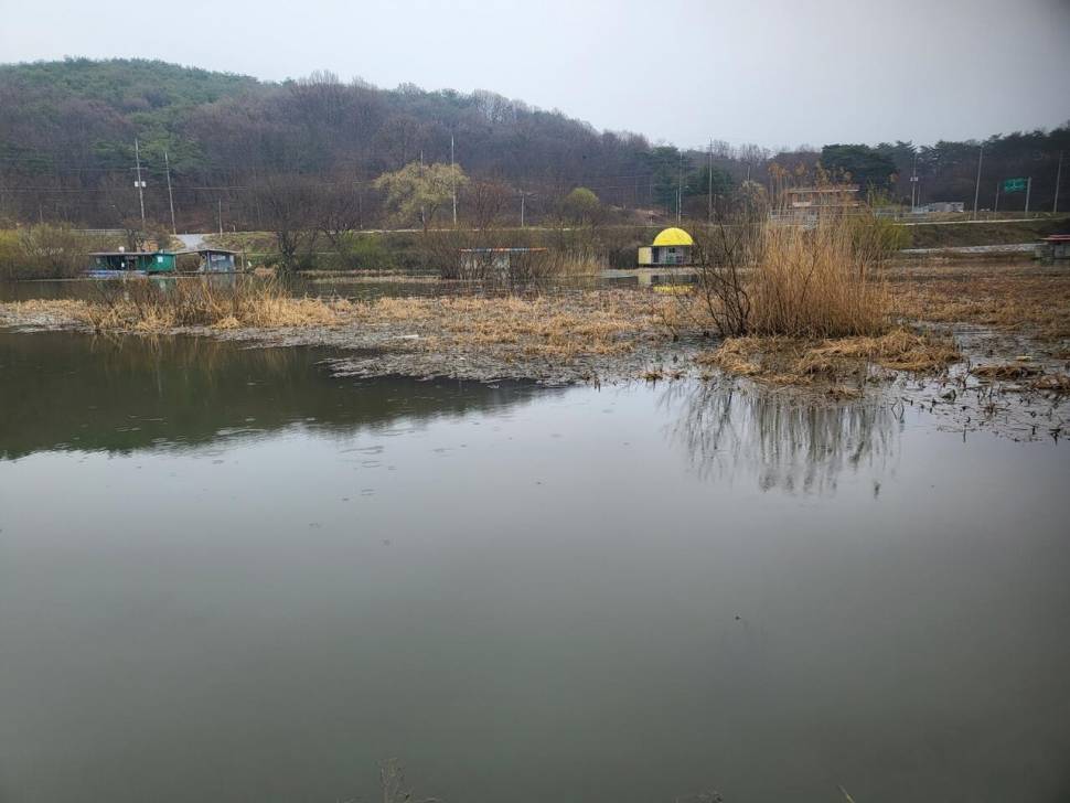 당진 가교리 낚시터 4월 2일 조황입니다 (유료터정보 - 유료터점주조황)