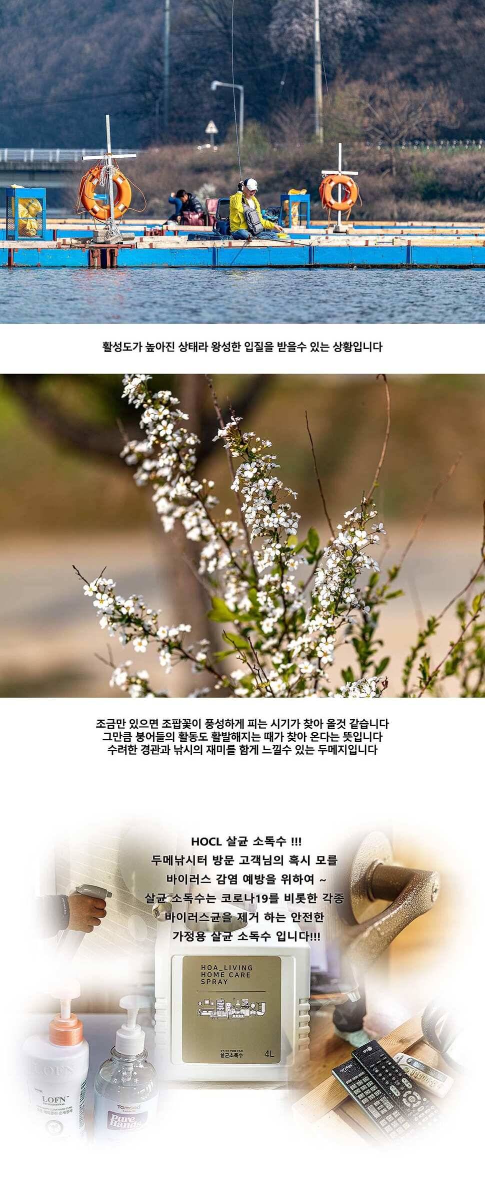 안성 두메낚시터 4월 15일 조황정보 (유료터정보 - 유료터점주조황)