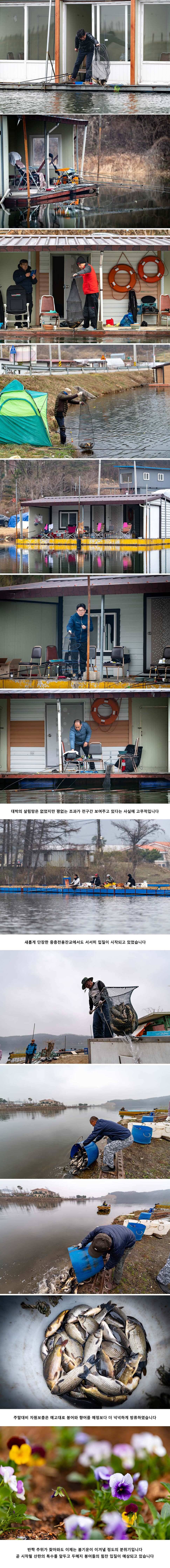 안성 두메낚시터 3월 30일 조황정보 (유료터정보 - 유료터점주조황)