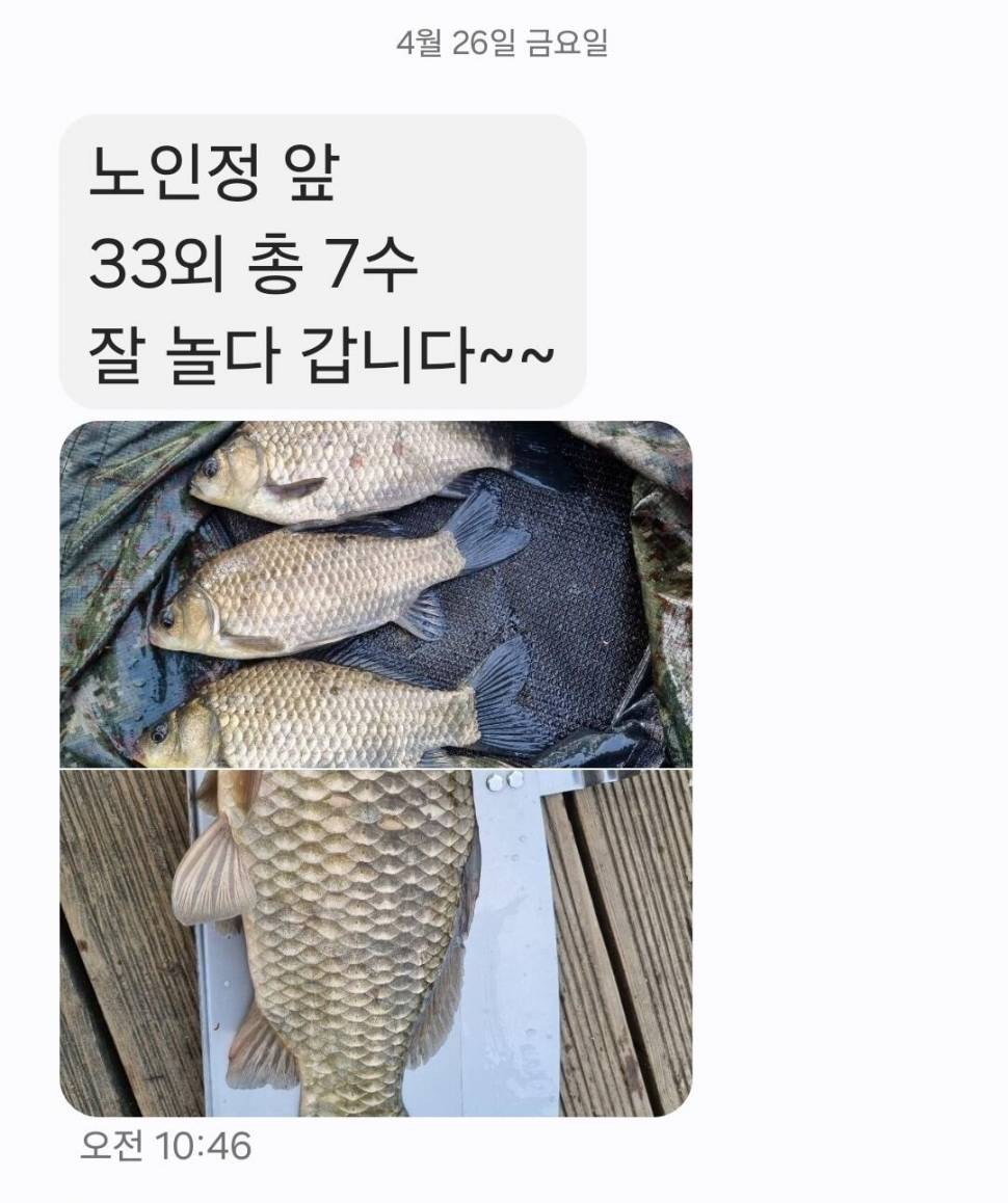 2024년 05월 첫째주 조황정보 용담낚시터사암지 4짜 4마리 (유료터정보 - 유료터점주조황)