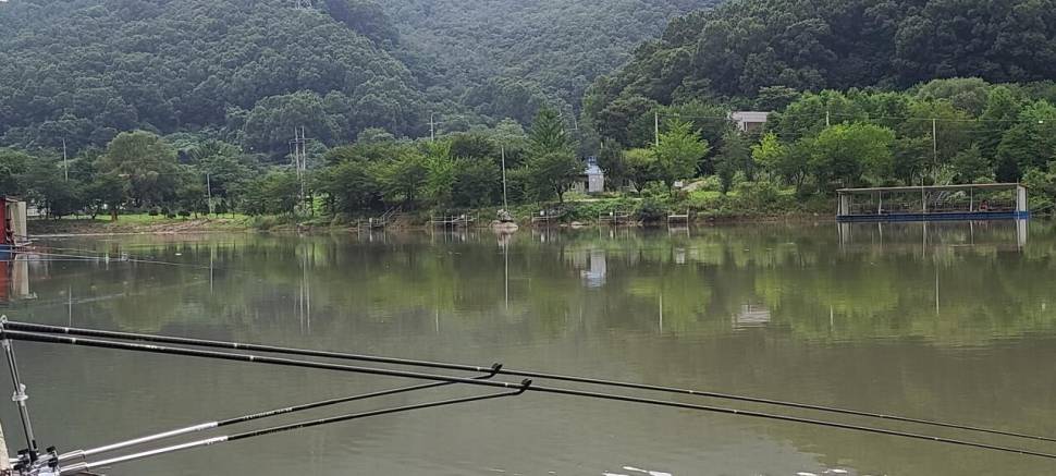 힐링 여름휴가 붕어낚시 수곡낚시터 주중조황 붕어 방류안내 (유료터정보 - 유료터점주조황)