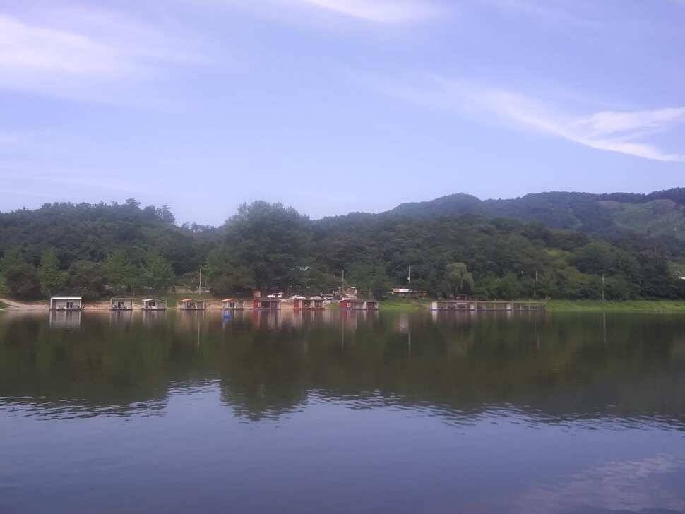 민물낚시 피서낚시 붕어낚시 좌대낚시 노지낚시 양평 힐링 수곡낚시터 붕어방류 조황 안내 8월3일 (유료터정보 - 유료터점주조황)