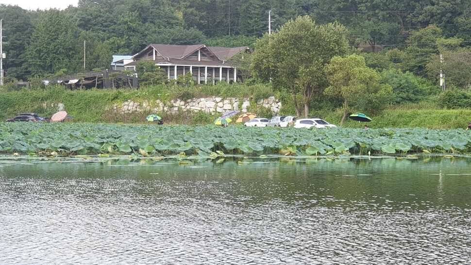 아산 명품 월랑낚시터 9월 첫번째 조황이야기입니다 (유료터정보 - 유료터점주조황)