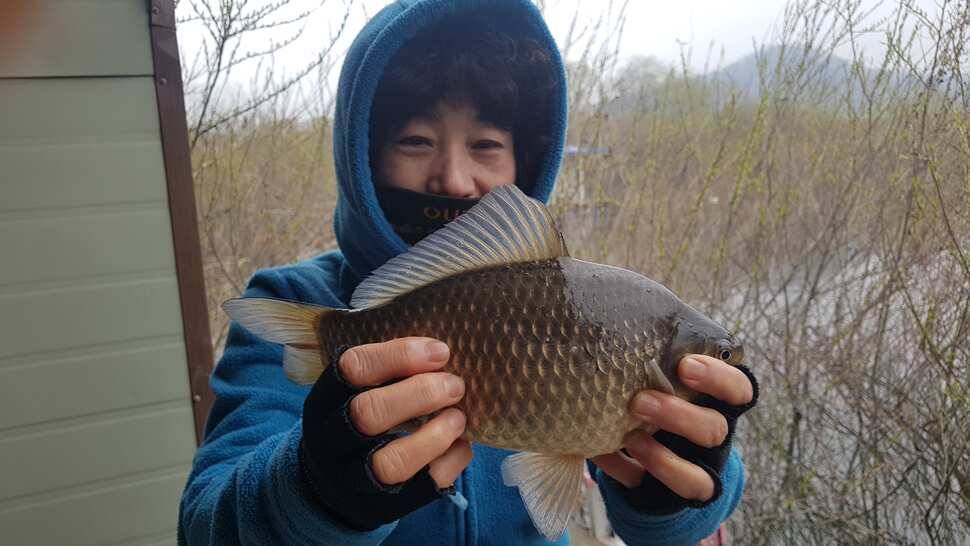 역시 오산좌대 이야 마릿수 (유료터정보 - 유료터점주조황)