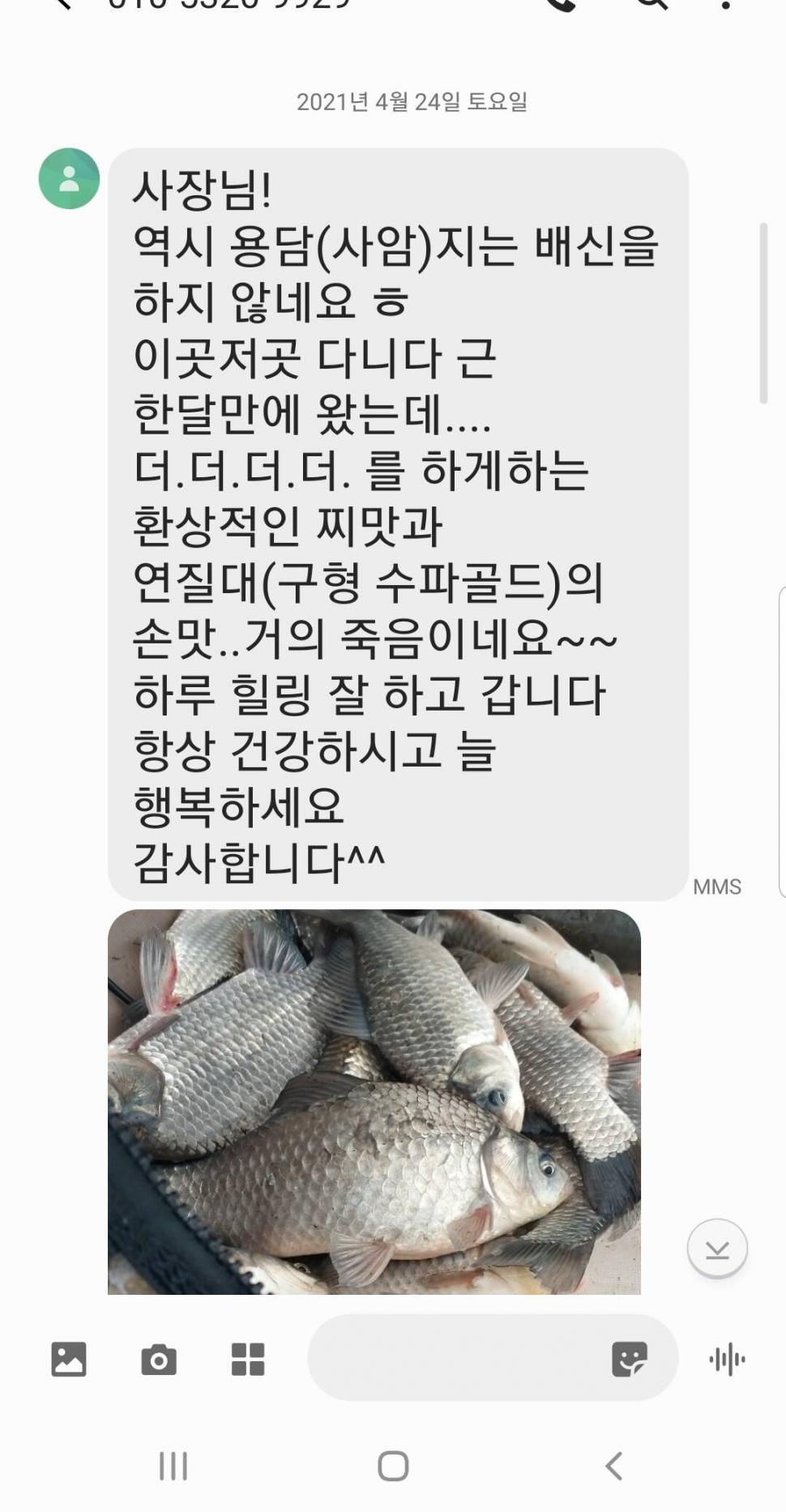 2021년 4월 마지막주 조황정보 용인 용담낚시터사암지 (유료터정보 - 유료터점주조황)