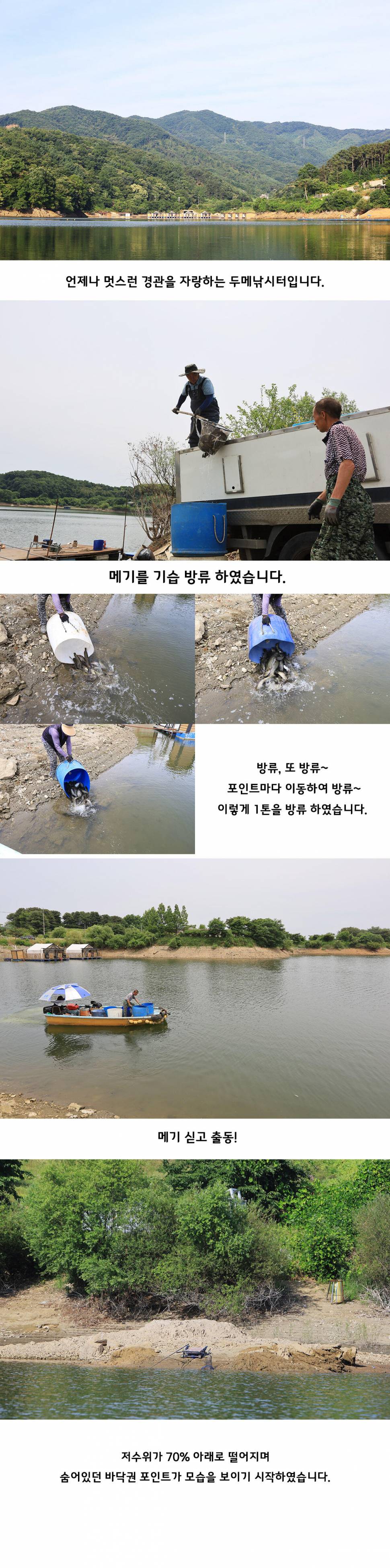 안성 두메낚시터 6월18일 조황안내 (유료터정보 - 유료터점주조황)