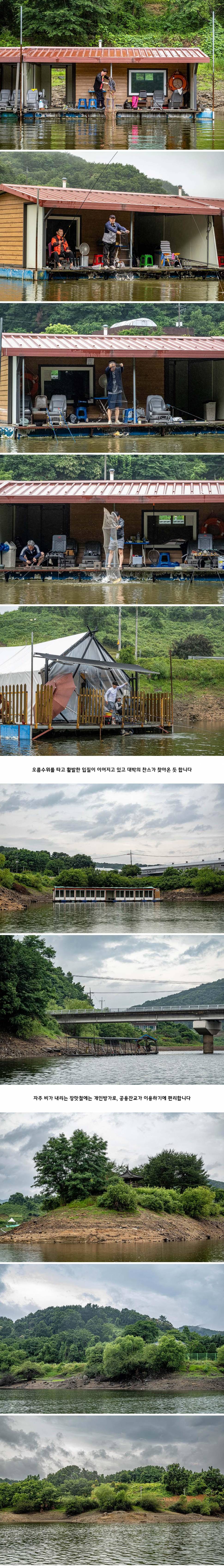 안성 두메낚시터 6월 21일 조황정보 (유료터정보 - 유료터점주조황)