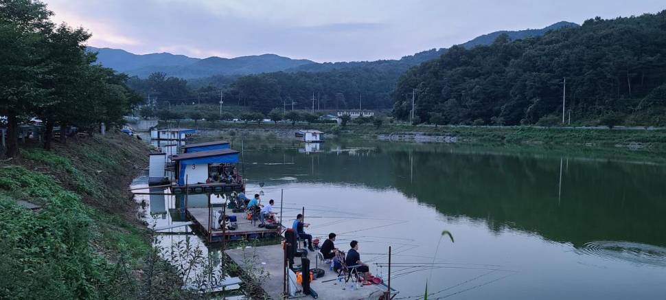 공주 고성낚시터 입니다 (유료터정보 - 유료터점주조황)