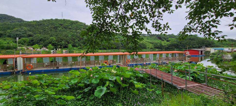 피서 양평낚시터 힐링 수곡낚시터 어제 호조황 포함조과 및 금일 방류 완료 (유료터정보 - 유료터점주조황)