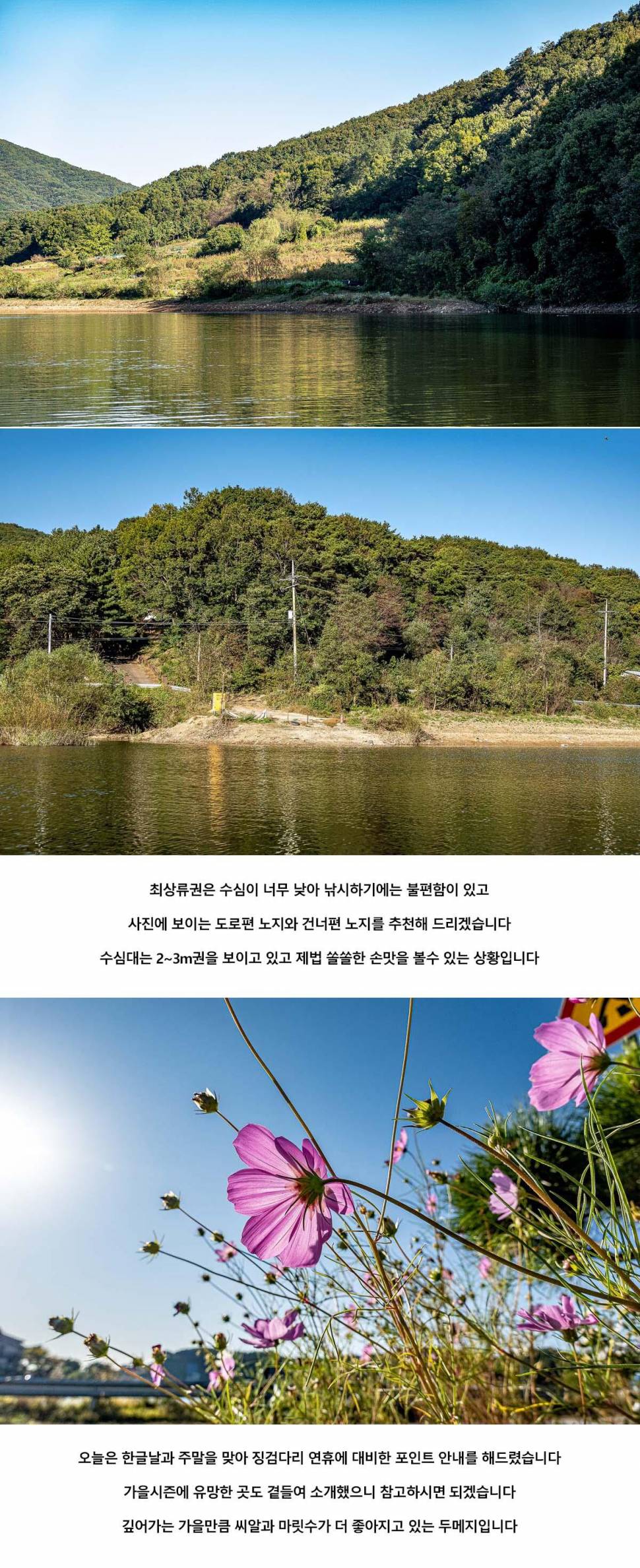 안성 두메낚시터 10월 8일 조황정보 (유료터정보 - 유료터점주조황)