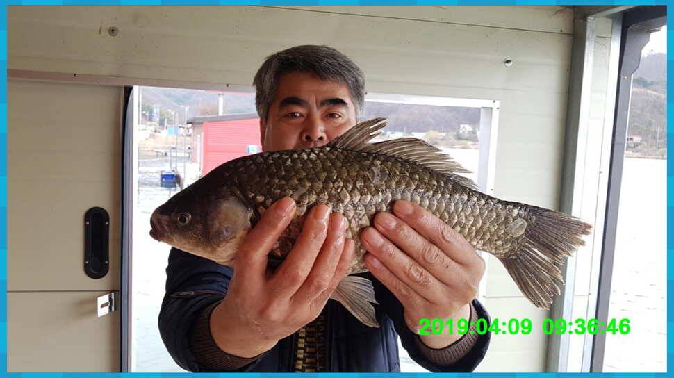 신원낚시터 토종대물 4짜 소식입니다 (유료터정보 - 유료터점주조황)