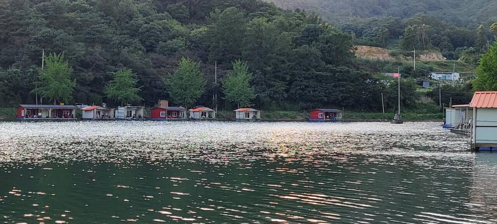 초가을 힐링 수곡낚시터 주후반 목금요일 조황 및 붕어방류 (유료터정보 - 유료터점주조황)