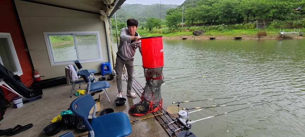낚시터추천 피서낚시 수곡낚시터 6월말 조황 및 금일 방류 완료 (유료터정보 - 유료터점주조황)