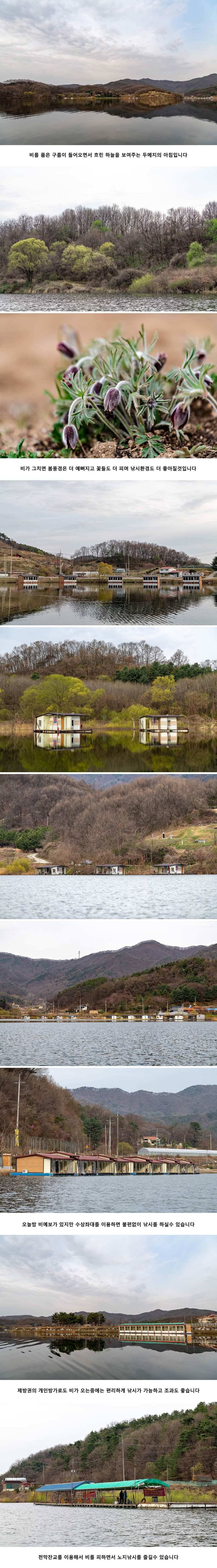 안성 두메낚시터 4월 9일 조황정보 (유료터정보 - 유료터점주조황)