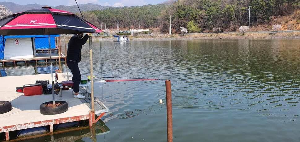 공주 고성낚시터 입니다 (유료터정보 - 유료터점주조황)